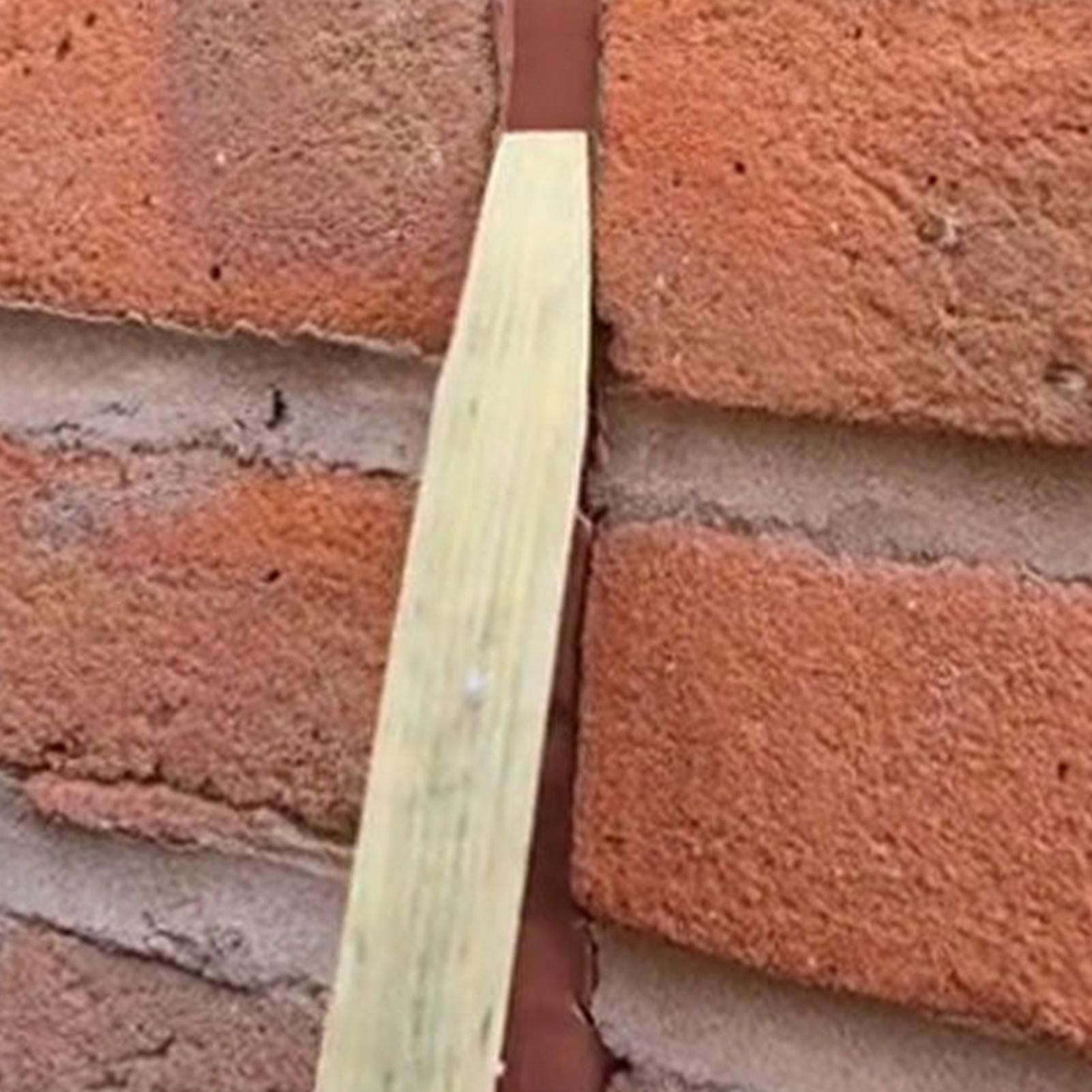 5 قطع من أعواد توزيع السيليكون - مراجعة Home Improvement For Beginners وسعره